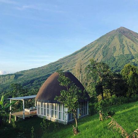 Manulalu Jungle Hotell Bajawa Exteriör bild