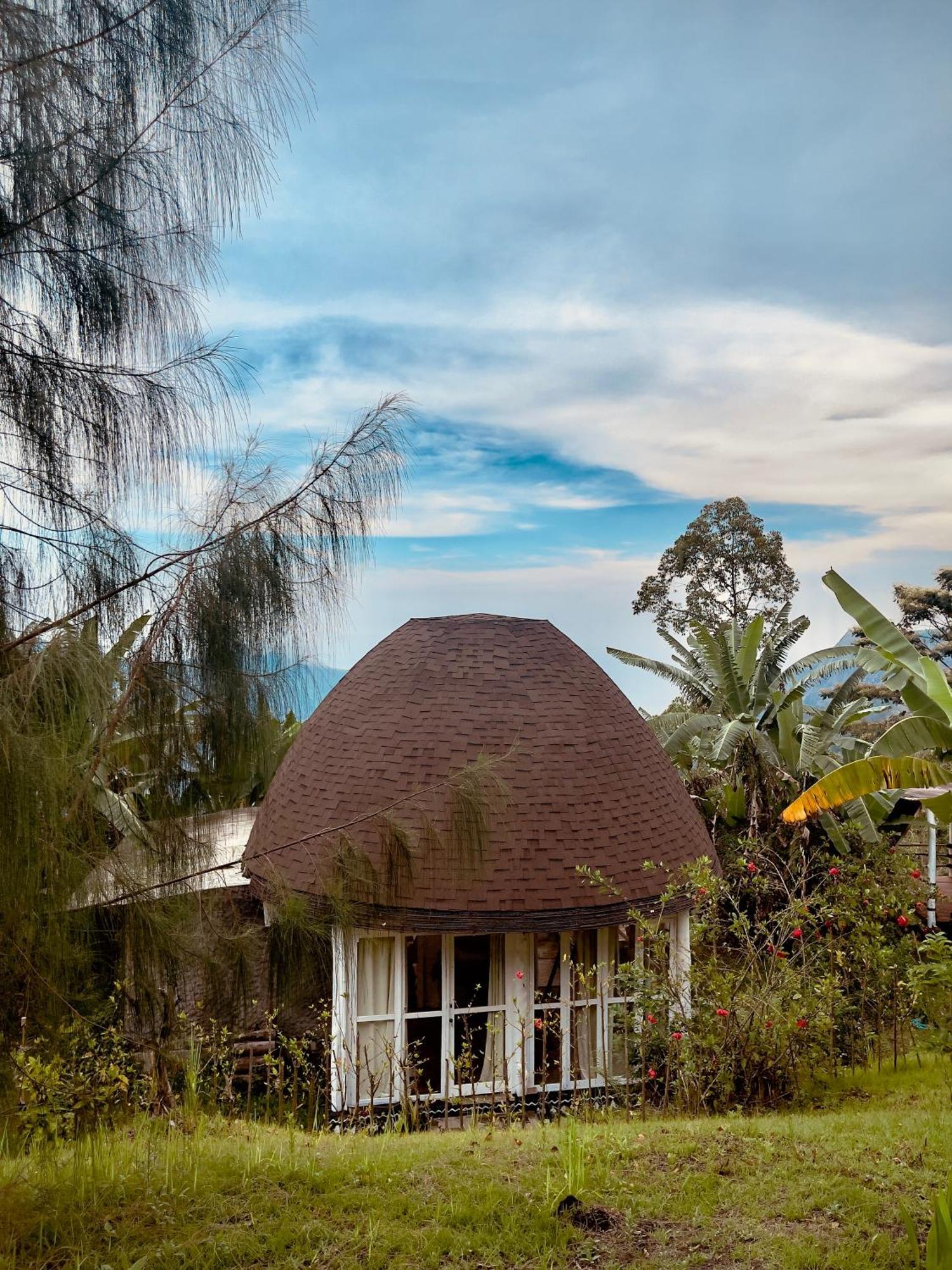 Manulalu Jungle Hotell Bajawa Exteriör bild