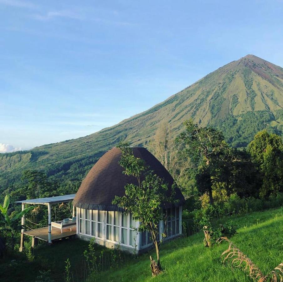 Manulalu Jungle Hotell Bajawa Exteriör bild