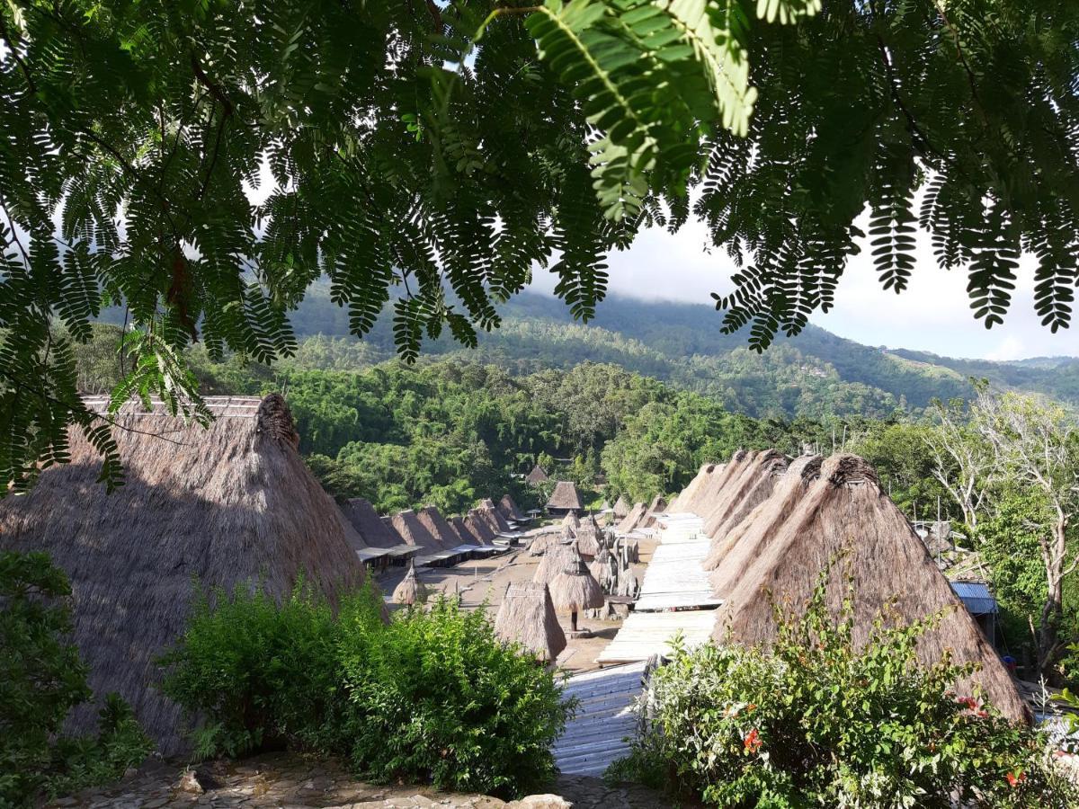 Manulalu Jungle Hotell Bajawa Exteriör bild